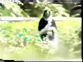 nice afgani pashto song {http://safiullahwardak.blogspot.co nice afgani pashto song {http://safiullahwardak.blogspot.co
