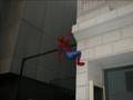 videos de Tribute