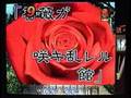 CR野薔薇物語H Passionate Bloom+時短抽選