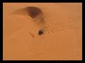 UHH Namibia&Botswana Trip 2010 (Part I)