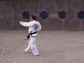 International Taekwondo Federation (ITF) Pattern 2