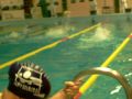4x50 vrij dames DVS