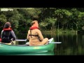 Wild British Beavers - The Animal's Guide To Britain, Episode 1 Preview - BBC Two