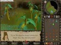 Monkey Madness