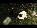 Child of Eden Cinematic Intro 1080p
