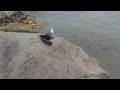 Off The Deep End