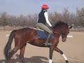 Bedazzled Schooling Nov 09 004.AVI