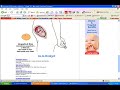 Pictures of pregnancy stages web site. Pictures of pregnancy stages web site.