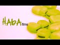 haba films