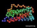 GCSF Protein Folding Illustration Movie