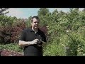 Canon EOS 450D review