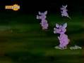 zoo cup (copa zoologico)
