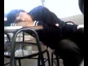 durmiendo en clases