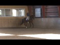 Aramis Hos Mattias J 2.mpg