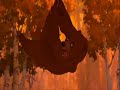 Hilarious speeded Brother Bear clips Hilarious speeded Brother Bear clips