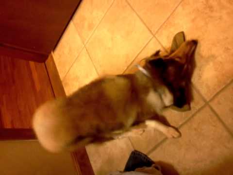 hightone4ever - I created this video with the YouTube Video Editor (http://www.youtube.com/editor) What what! ;p.