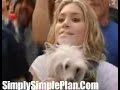 simple plan in new york minute