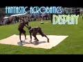 Dursley Town Festival 2007