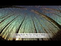 John O’Callaghan & Audrey Gallagher – Bring Back The Sun Lyrics