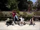 longboarding longboarding