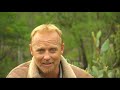 Wedge Tailed Eagle