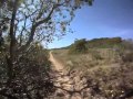 Morro Bay State Park - Jeffrey Lewis - Arrow - YouTube