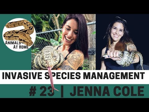 YouTube reptile video