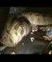 Boa Constrictor Imperator shedding