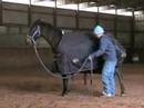 Hesaoneslickonetoo getting his blanket put on and saying goodbye to his audience for the day. Shown with Nicole Torturo of 3Drum.