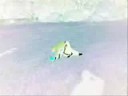 josh does cool frontflips!