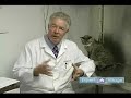 First-Aid-For-Cats-L