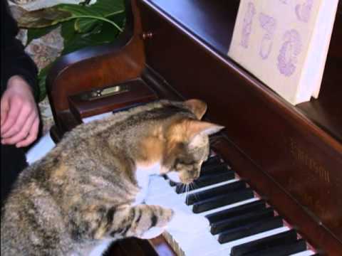 how to help unemployment