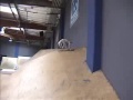 Skater-Hund