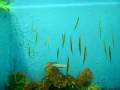 engel ocean park adventure engel ocean park adventure