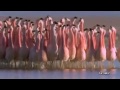 The Cinematic Orchestra – theme song - The arrival of the Birds