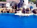San Diego SeaWorld -- How High Can a Dolphin Jump? San Diego SeaWorld -- How High Can a Dolphin Jump?