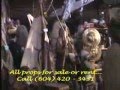Can An Importique - Western Virtual Prop Tour