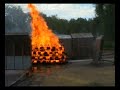 Firescreen Protection Tests 2004