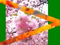 Phai Zawng Par Lung Len Caan Phai Zawng Par Lung Len Caan
