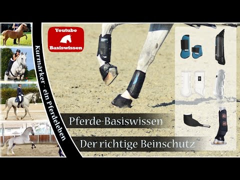 [Pferde-Basiswissen] Die richtigen Gamaschen