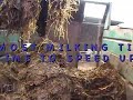 Mucking out a shed with New Holland/Redrock shear grab