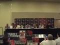 Botcon 2008 - Bee in the City (Part 3)