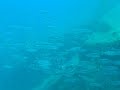 バイキングダイバーズ五島ツアー20091208_3.avi