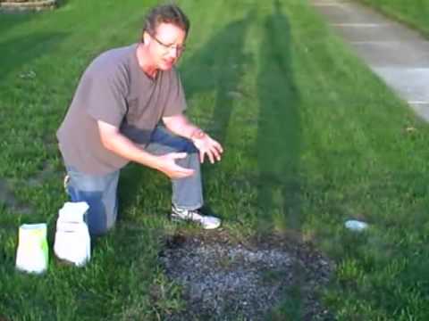 how to replant lawn