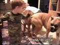 funny-pets.html