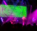 Captain perform Live