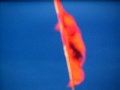 Sainkho Namtchylak and The New Chinese Flag Sainkho Namtchylak and The New Chinese Flag