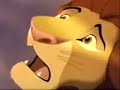 The lion king - Imaginary