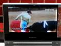 Toreros en Japon