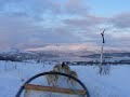 Dog Sledding in Tromsø.